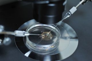 Vista del laboratorio de embriología de alta complejidad en Fertility Argentina, equipado con tecnología de última generación para vitrificación de óvulos.
